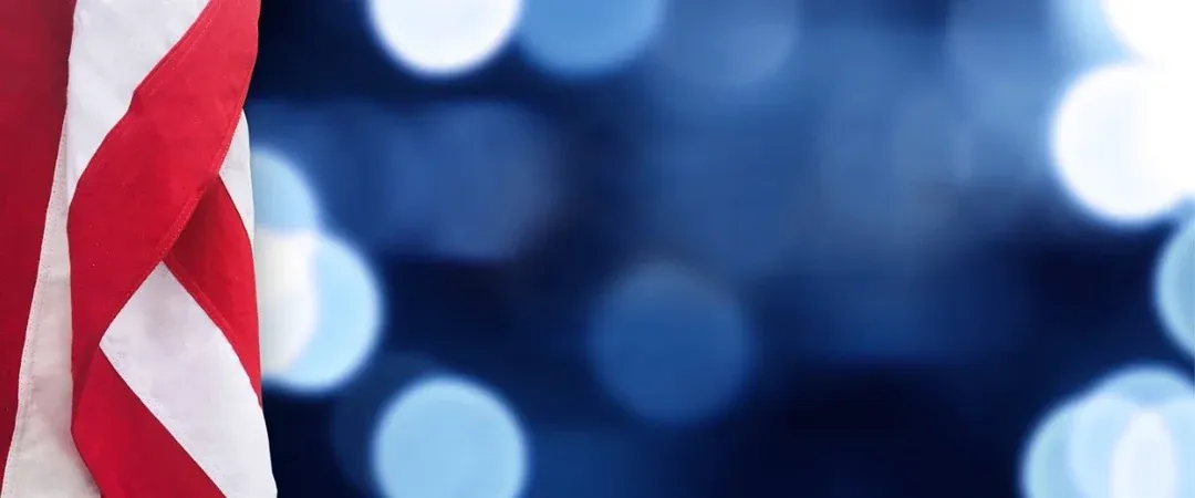 American Flag Veterans Day Offer